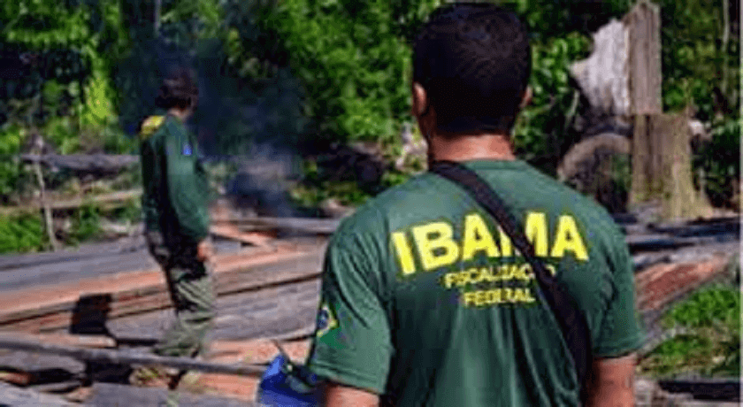 Concurso IBAMA: MPF pede novo certame para 30 dias 